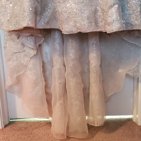Champagne Sequence Wedding Dress - FREE SHIPPING - Picture 16 of 16